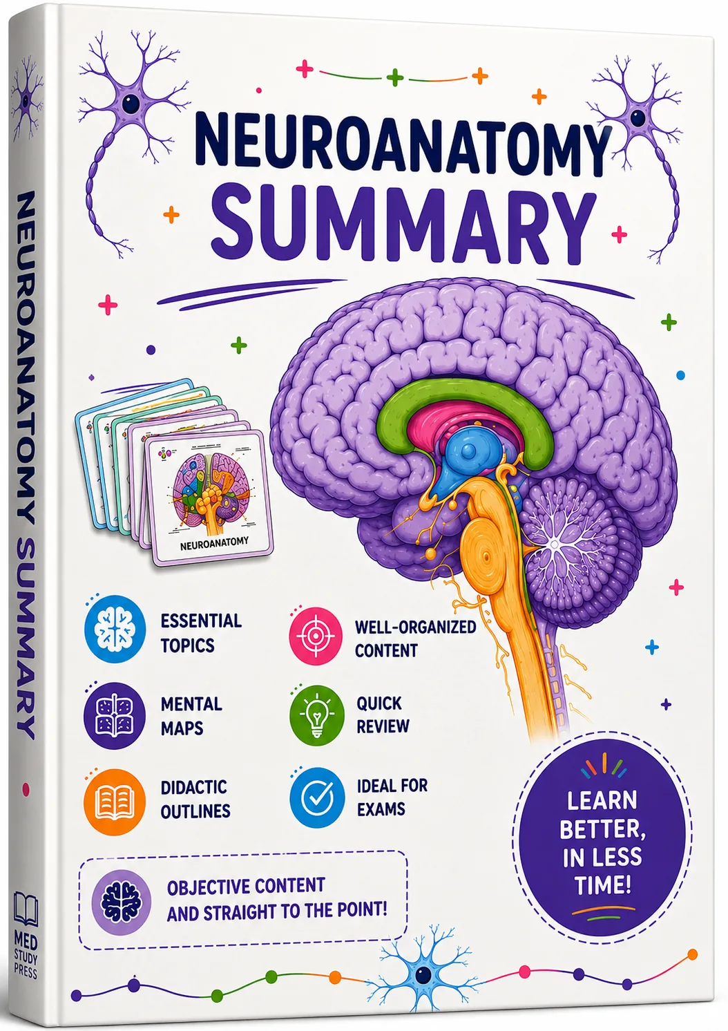 NEUROANATOMY STUDY GUIDE